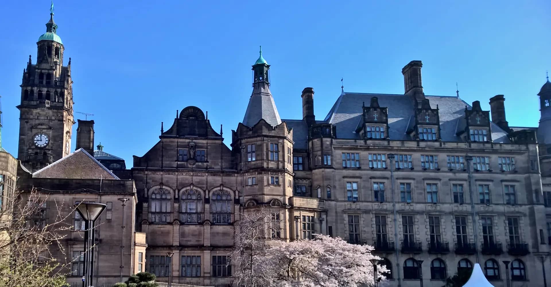 Sheffield Town Hall and its clock tower beside the Peace Gardens, with cherry blossom in front and a clear blue sky
