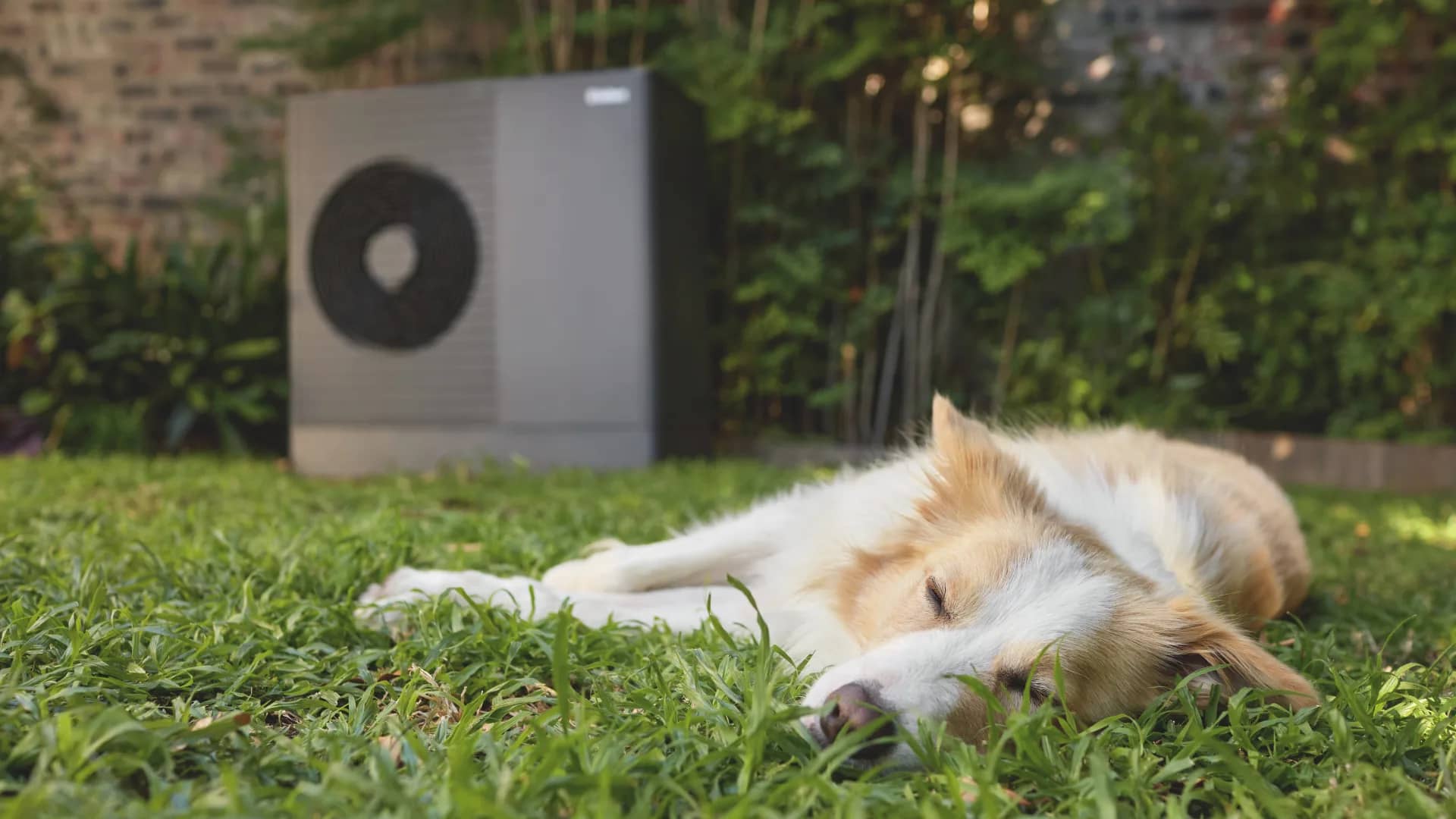 A heat pump at the end of a garden with a dog asleep on the lawn in front of it