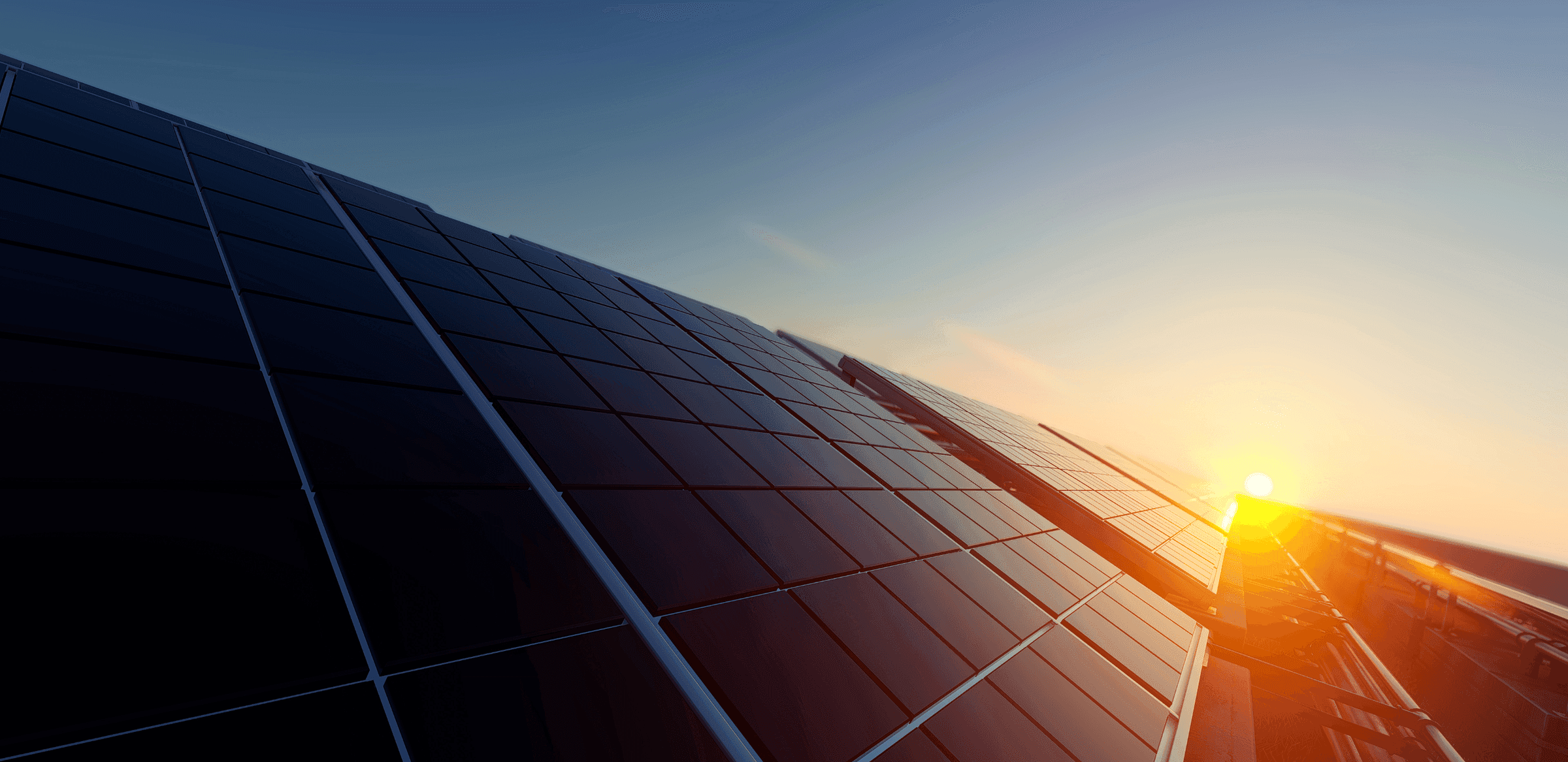 A row of solar panels with the sun low behind them