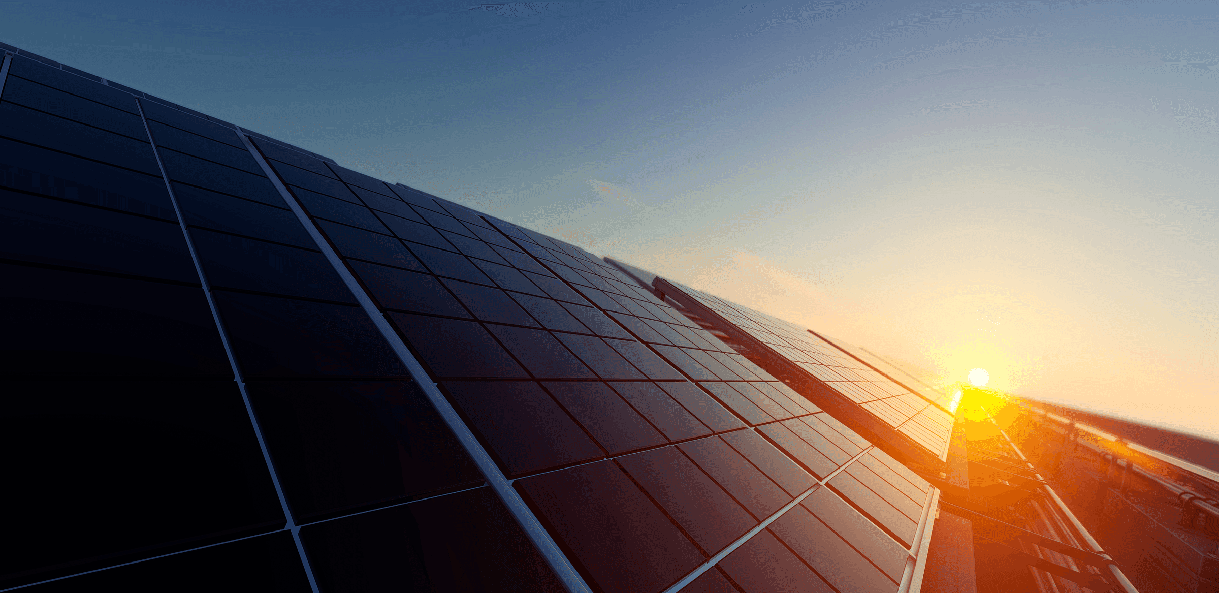 A row of solar panels with the sun low behind them